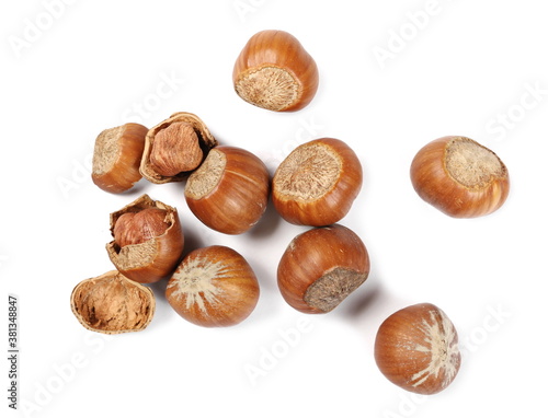 Hazelnut pile isolated on white background, top view