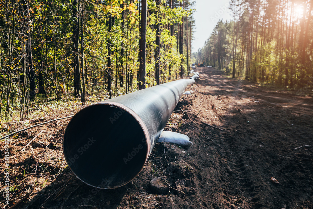 Large diameter steel pipe in a forest clearing - construction of an underground highway with utilities Large diameter steel pipe in a forest clearing - construction of an underground highway with utilities