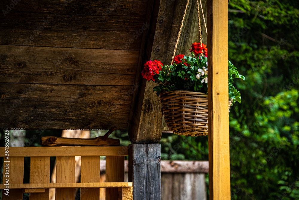 A raffia vase hanging from a wooden roof bearing fantastic and colorful red geraniums