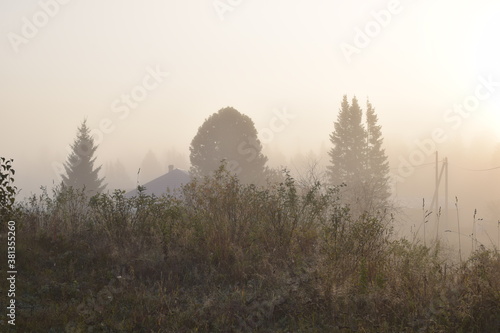 morning fog in the mountains © tanzelya888