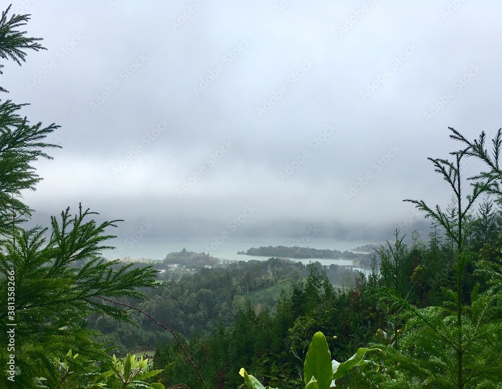 Obraz premium clouds in the forest