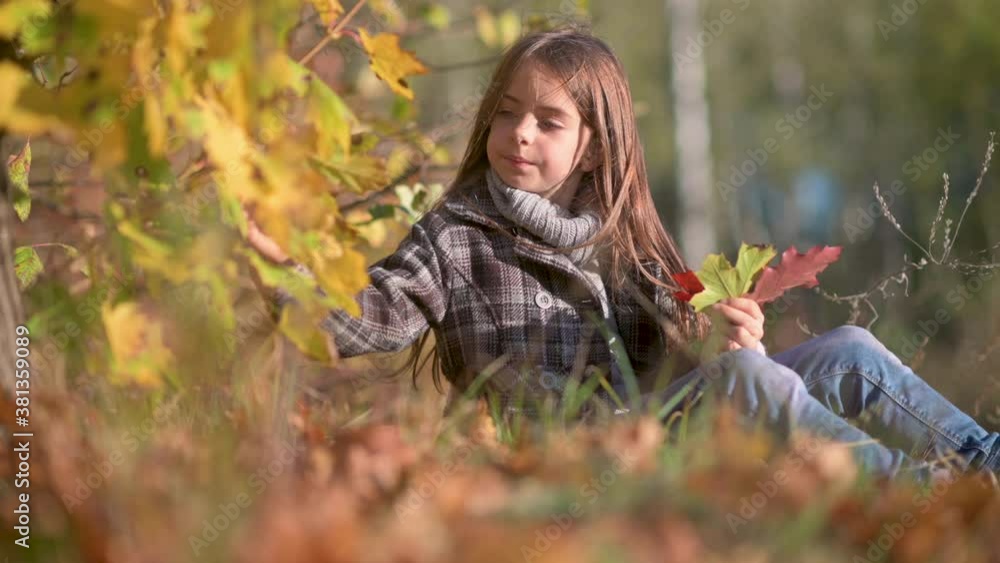 A cute little girl in coat sits on the grass in a colorful autumn park. The child collects colorful fallen leaves. A cute little girl in coat sits on the grass in a colorful autumn park. The child collects colorful fallen leaves.