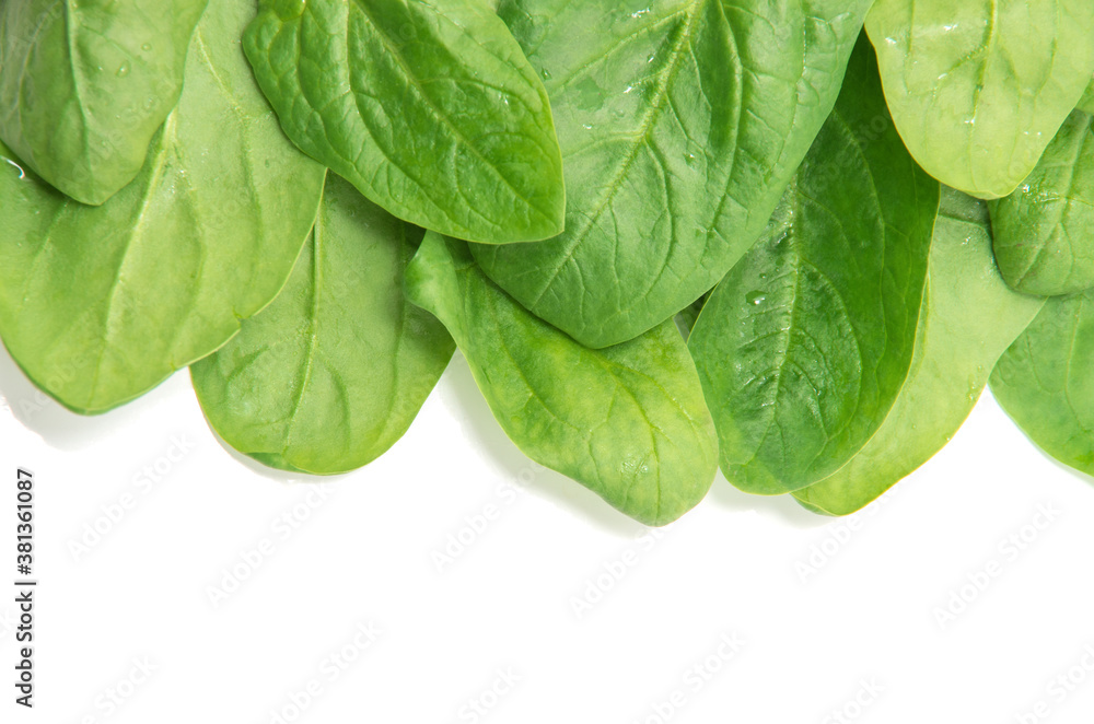 Obraz premium Spinach on a white background