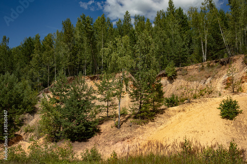 Reclaimed abandoned sand and clay quarry. Many trees have grown on sandy slopes - birch, spruce.