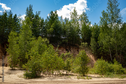 Reclaimed abandoned sand and clay quarry. Many trees have grown on sandy slopes - birch, spruce.