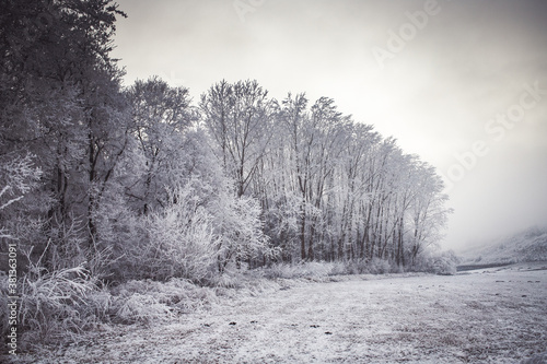 beautiful frozen winter landscape with frosty trees