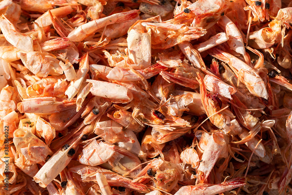 Abstract background from shrimp peels. Selective focus. Abstract background from shrimp peels. Selective focus.