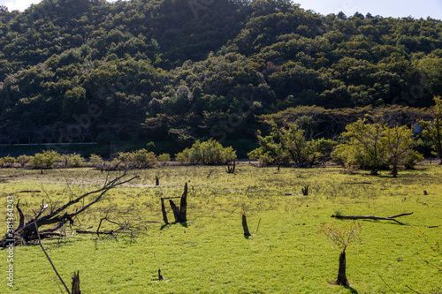 View of drained dam lake bottom at Aono dum in Sanda city, Hyogo, Japan photo