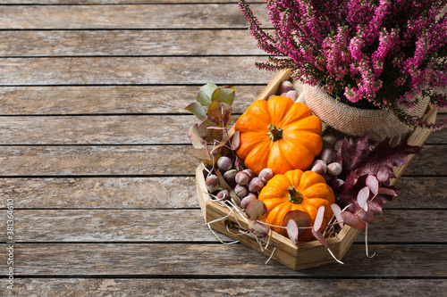 Autumn fall thanksgiving day floral composition with pumpkins and heather