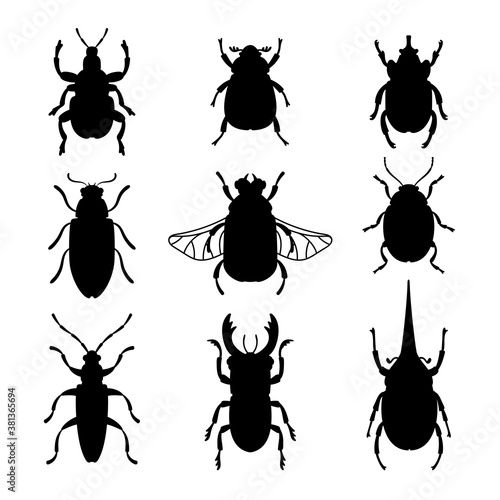 Bugs silhouettes set. Black stencils shapes of beetles, contours of insects, vector illustration outline creatures of science of entomology isolated on white background © ssstocker