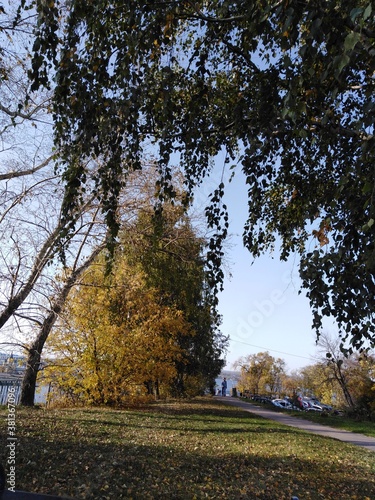 autumn in the park