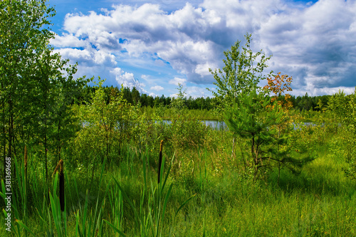 In the foreground, green grass, reeds, low trees. A blue lake is visible in the background. White clouds float across the blue sky. Clear Sunny day, good weather. Desktop Wallpapers.