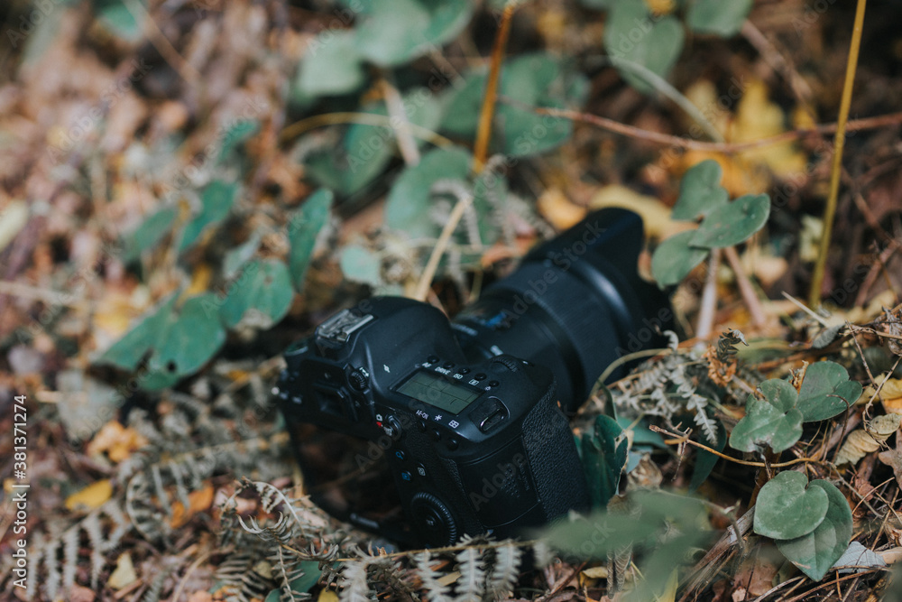 camera on the ground in forrest