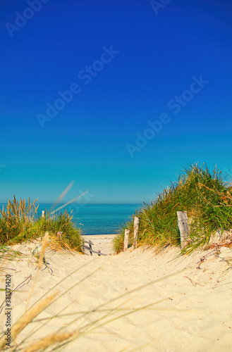 Fototapeta Naklejka Na Ścianę i Meble -  way down to the beach at the baltic sea through the dunes near prerow