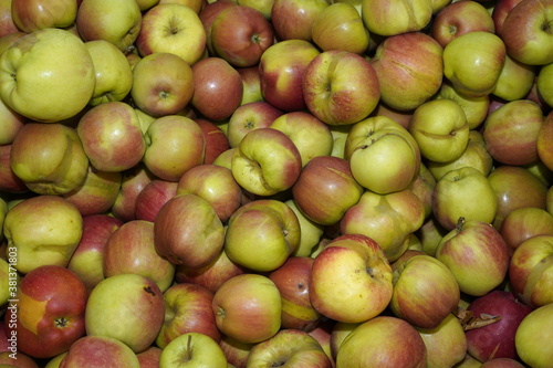 Äpfel formatfüllend