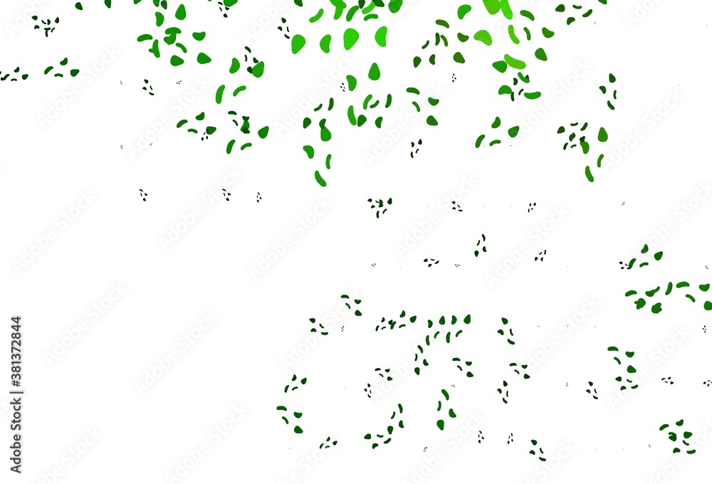 Light Green vector texture with random forms. Light Green vector texture with random forms.