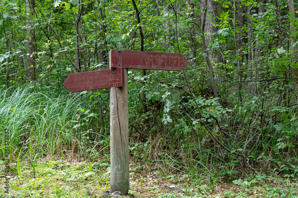 Two arrow rusty brown wooden signs in green forest Two arrow rusty brown wooden signs in green forest