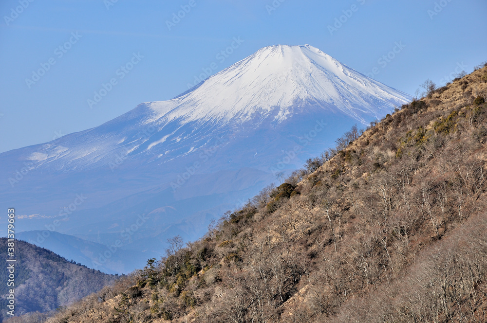 丹沢から望む富士山 冬晴れの大倉尾根より