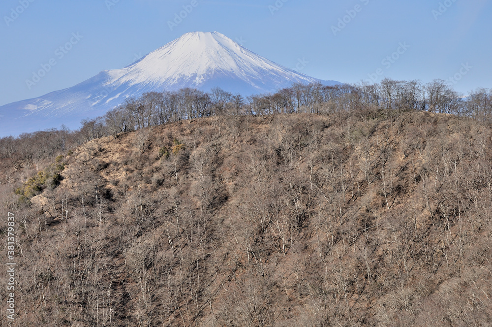 丹沢から望む富士山 鍋割山稜越しの眺望