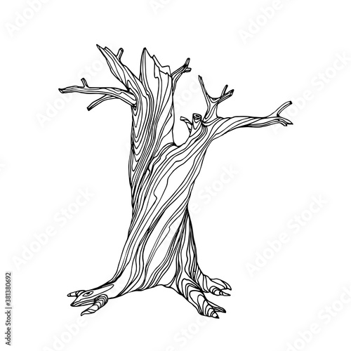 dry dead tree with lifeless branches the mystical character of Halloween holiday, vector illustration with black ink contour lines isolated on a white background in a doodle & hand drawn style