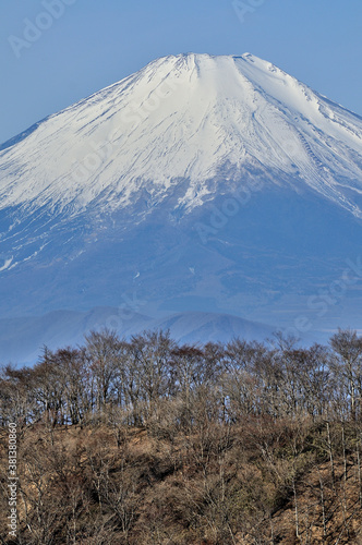 冬晴れの丹沢山地 塔ノ岳から望む富士山
