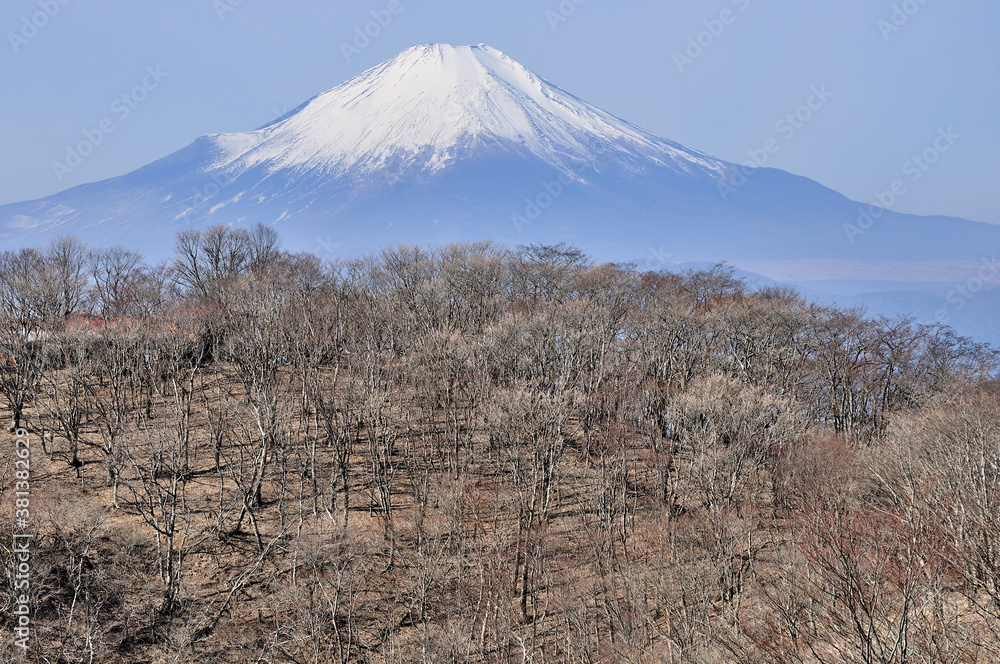 冬の丹沢山地と富士山 鍋割山稜の小丸からの展望