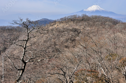 冬の丹沢山地と富士山 鍋割山稜の小丸からの展望 © Green Cap 55