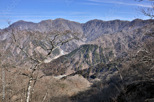 丹沢 冬の丹沢主脈 鍋割山から塔ノ岳と丹沢山を眺める