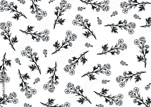 Vector background with flowers. Buttercup vector illustration. Flower pattern buttercup. Black and white vector engraving of buttercup. Floral pattern on a white background.