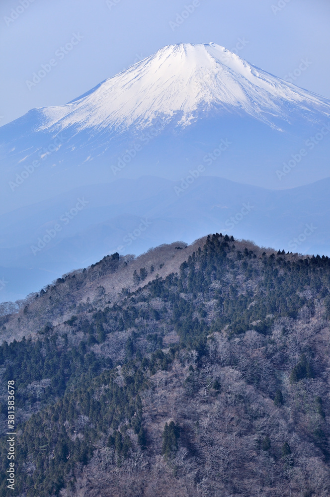 雪化粧した富士山 丹沢の鍋割山からの展望