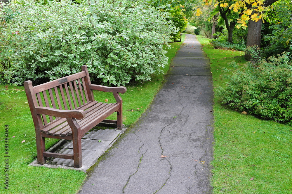 Scenic view of a path through a beautiful park with a wooden bench and green leafy trees Scenic view of a path through a beautiful park with a wooden bench and green leafy trees