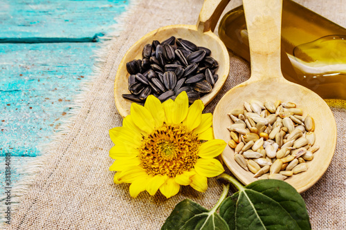 Whole and peeled sunflower seeds, sea salt and oil with head flower in wooden spoons