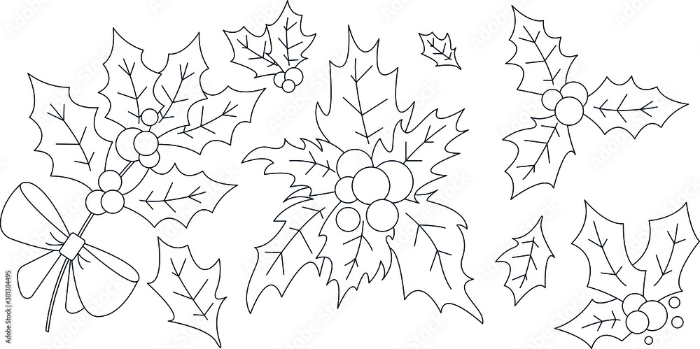 Obraz premium Set of linear graphic elements. Christmas symbols. Holly for christmas