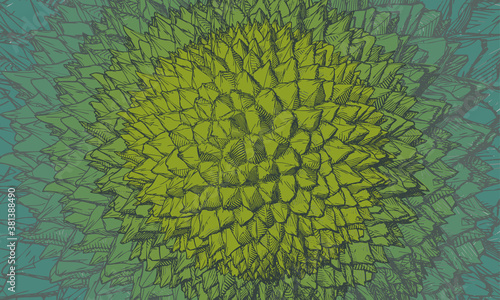 Abstract durian drawing pattern background