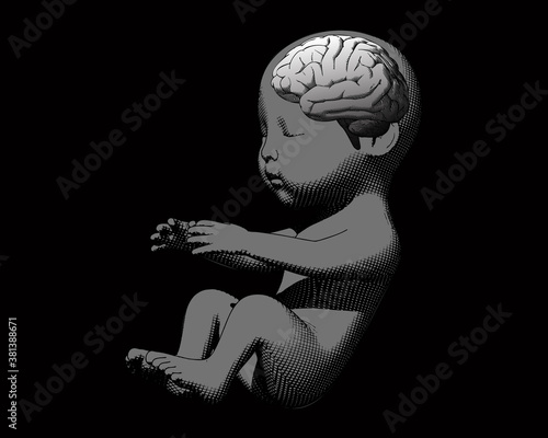 Human fetus with brain demostration on dark BG