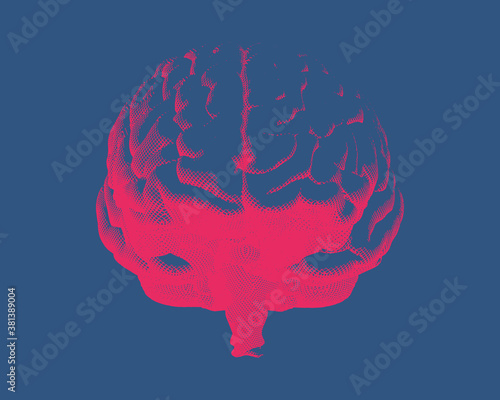 Engraving brain illustration on blue BG