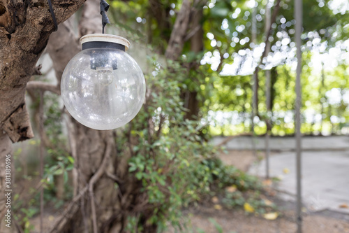 close up view of single hanging spherical light bulb decor on tree in outdoor party