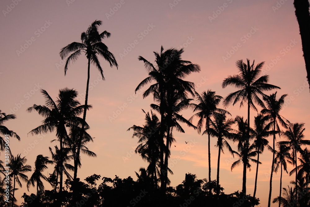 Tropical Mozambique Sunset