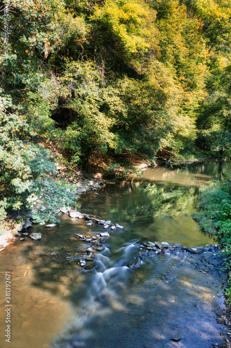 Top view at a creek flowing smoothly through a forest - long time exposure