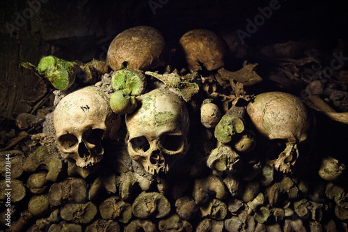 Skulls in the catacombs
