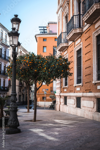 street in the town. brown house in Spain. architectural style. street photo with trees and lamps