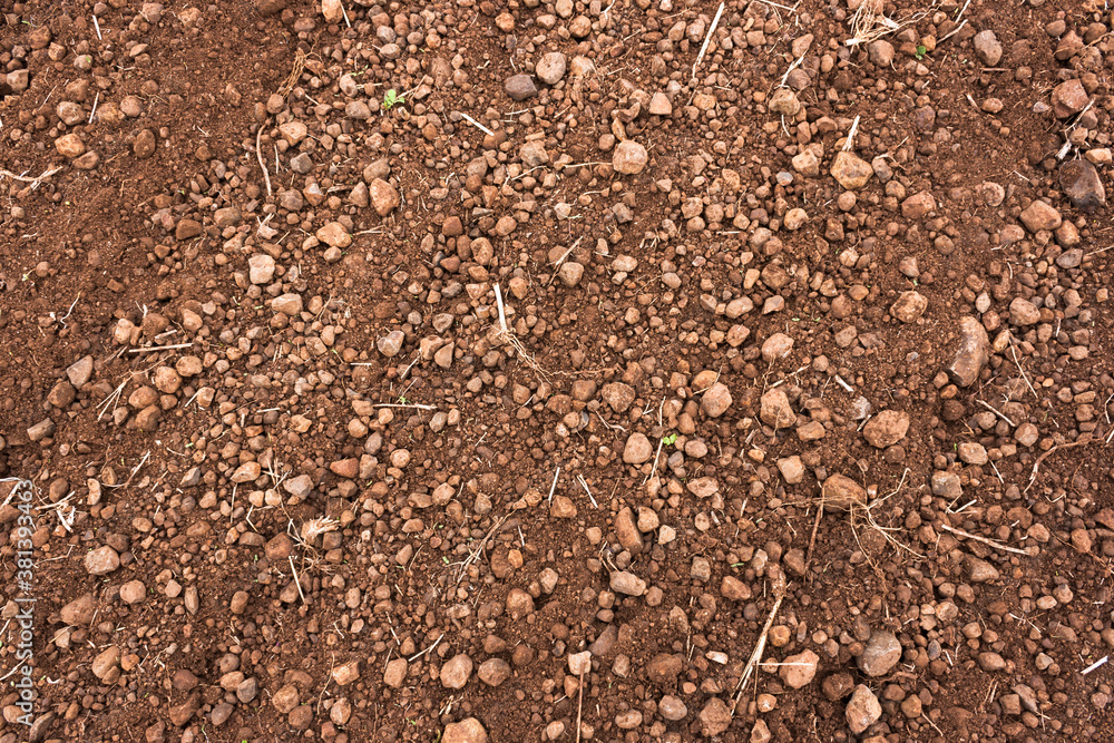 Indian soil closeup Indian soil closeup