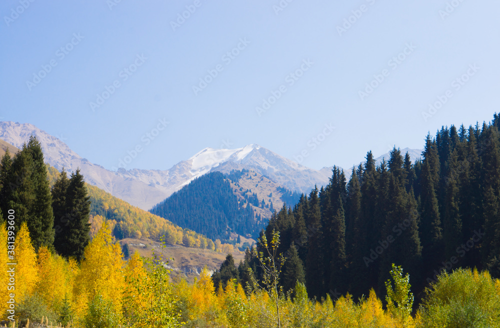 Autumn in the mountains, colors of autumn in the Tian Shan. Beautiful mountains and trees in autumn.