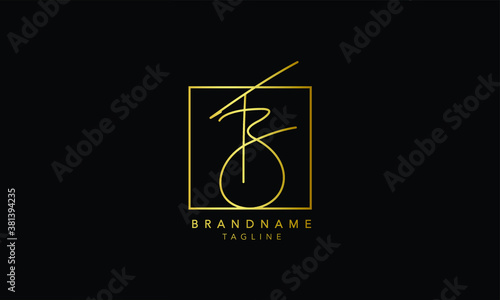 Alphabet letters Initials Monogram logo TB, BT, T and B photo