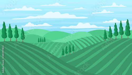 Cartoon Color Tuscan Wine Field Landscape Scene Concept. Vector