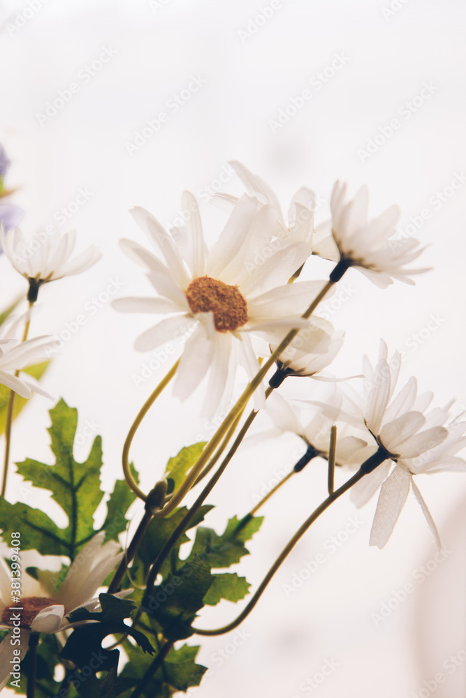Natural background, color photo of plants and flowers. Space for text Natural background, color photo of plants and flowers. Space for text