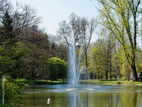 Parc et jardin botanique, jet d'eau et aménagements aquatiques au printemps de Bad Bellingen im Markgräflerland (Bade-Wurtemberg)