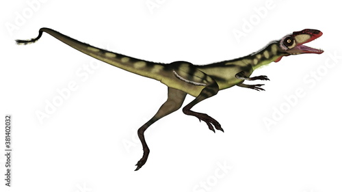 Dilong dinosaur roaring isolated in white background - 3D render