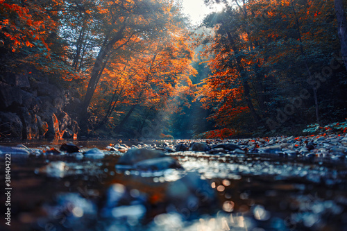 sun rays in autumn forest by the river 