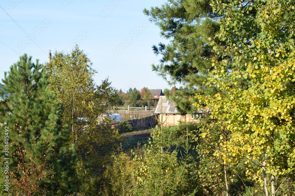 Obraz premium house in the woods